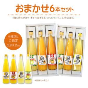 ふるさと納税 土佐清水市 オレンジ園の濃縮ジュ...の詳細画像2