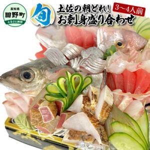 【四国一小さなまち】土佐のお刺身盛り合わせ　3～4人前程度 ★冷蔵★