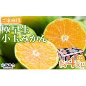 <極早生小玉みかん ご家庭用 約4kg> ご家庭用 果物 フルーツ みかん ミカン 蜜柑 オレンジ