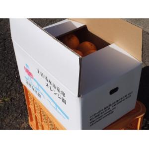 ふるさと納税 土佐清水市 【令和9年発送 訳あ...の詳細画像3