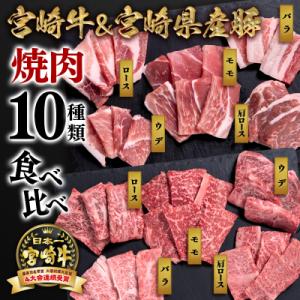 宮崎牛&宮崎県産豚肉 焼肉10種盛り　焼肉セット計600g[3003]