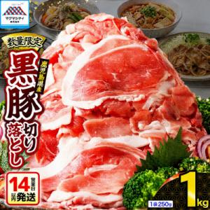 【14営業日以内に発送】【数量限定】鹿児島県産 黒豚切り落とし 1kg　K025-001_02