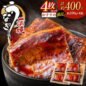 ふるさと納税 宗像市 うなぎ蒲焼き(約100g)...の商品画像