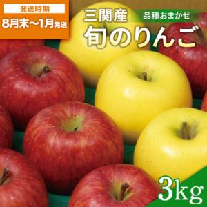 三関産 旬のりんご 秀品 3kg[M15101]
