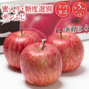 年内 蜜入り 糖度選別サンふじ約5kg 【JA津軽みらい・平川市産・青森りんご・12月】