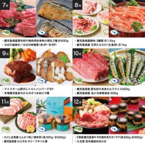 ふるさと納税 南さつま市 海幸山幸エクストラ定...の詳細画像3