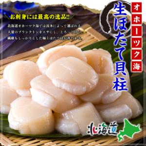 【甲羅組】【訳あり】ほたて貝柱 1kg【欠け/サイズ不揃い】