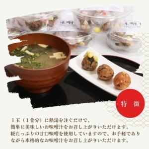 ふるさと納税 能代市 定期便 11回 生味噌玉...の詳細画像1