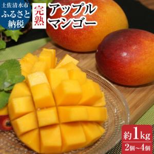 ふるさと納税 土佐清水市  令和8年発送 完熟アップルマンゴー1kg(2個〜4個入り)フルーツ 果物...