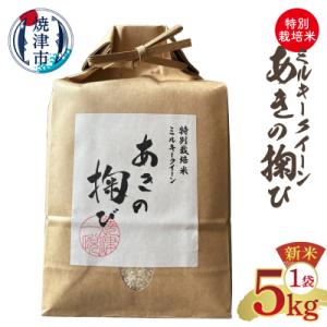 ミルキークイーン あきの掬び 5kg×1袋(a19-057)