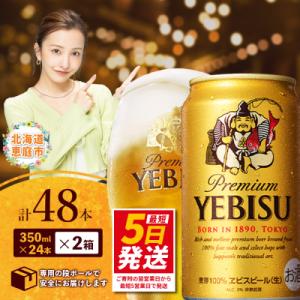 ふるさと納税 恵庭市 サッポロ ヱビスビール 4...の商品画像