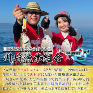 ふるさと納税 佐伯市 メール便でお届け!川崎憲...の詳細画像2