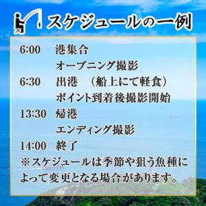 ふるさと納税 佐伯市 メール便でお届け!川崎憲...の詳細画像3