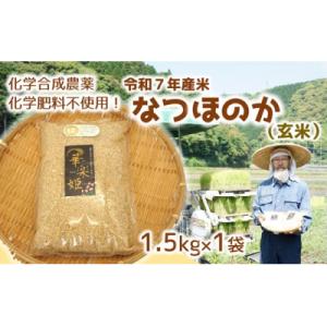 令和7年産米　なつほのか(玄米)1.5kg!栽培期間中、化学肥料等を使わずに育てたから安心安全!