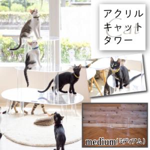 ふるさと納税 小牧市 アクリル製キャットタワーmedium[149F03]