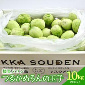 ふるさと納税 香南市 つるかめろんの玉子(摘果メロン) 10kg 約80玉 tn-0017