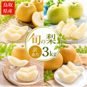 【訳あり】鳥取県産旬の梨 3kg