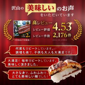 ふるさと納税 大崎町 鹿児島県産うなぎ長蒲焼5尾の詳細画像1