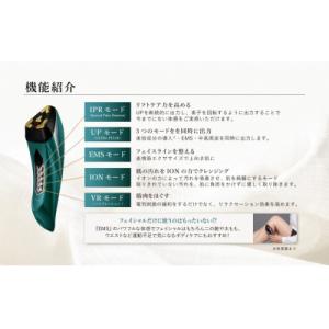 ふるさと納税 岐阜県 メデューサ(サイプレスグ...の詳細画像1