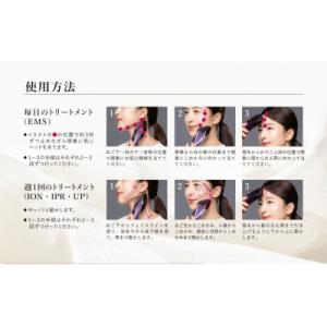 ふるさと納税 岐阜県 メデューサ(サイプレスグ...の詳細画像2
