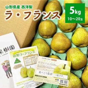 西洋梨(ラ・フランス)5kg　10～20玉　ご家庭用　0079-2617