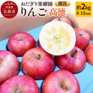 りんご【贈答】高徳 約2kg(8～13玉程度)先行受付|24_odg-010201
