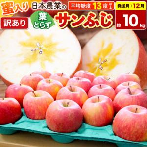 【26年12月発送】りんご 葉とらずサンふじ約10kg【訳あり】蜜入|24_nng-131001ag