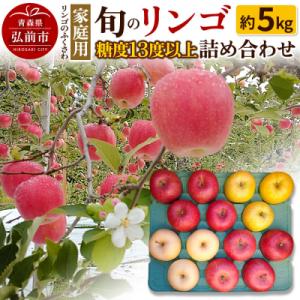 りんご 家庭用 旬のリンゴ詰め合わせ 約5kg 糖度13度以上|24_rfk-010501
