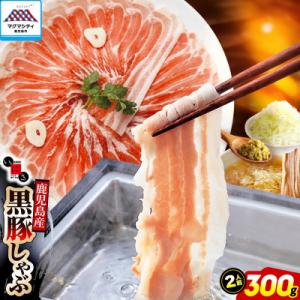 遊食豚彩いちにぃさんそばつゆ仕立黒豚しゃぶ 2人前【2月出荷】　K007-002_02