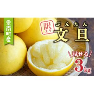 ふるさと納税 愛南町 先行受付 訳あり 文旦 3kg ぶんたん みかん 蜜柑 ミカン あいなんマザーズ 愛南町 愛媛県