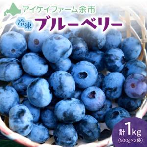【2026年11月以降発送】冷凍ブルーベリー 500g×2袋(チャック付き袋)_Y111-0007
