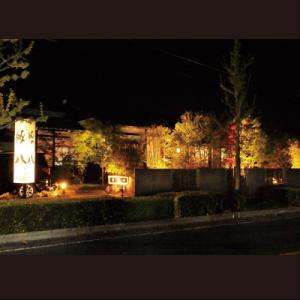 ふるさと納税 神埼市 【定期便10回】佐賀牛シ...の詳細画像3