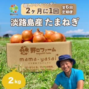 【全6回・2ヶ月に1回定期便】mama-yasai たまねぎ2kg