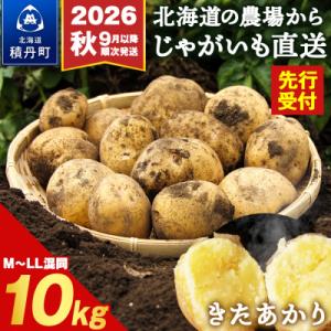 ふるさと納税 積丹町 【2025年発送】数量限定 期間限定 じゃがいも 10kg 北海道 きたあかり ジャガイモ 芋 いも