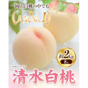 ふるさと納税 笠岡市 清水白桃　8玉 約2kg　令和8年産先行受付　B-80d
