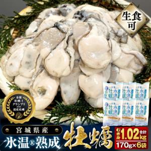 宮城県産 かき 氷温熟成 牡蠣 生食用 冷凍170g×6袋 約1kg むき身 まるたか水産 石巻市