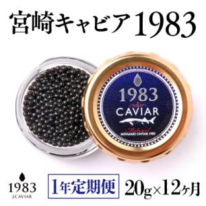 ふるさと納税 西都市 【1年定期便】MIYAZA...の商品画像