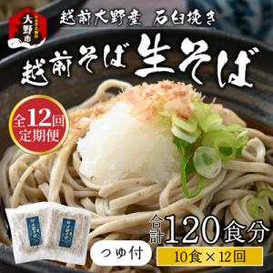 ふるさと納税 大野市 【12ヶ月定期便】越前大野産 石臼挽き 越前そば 生そば10食 × 12回 計120食(つゆ付)