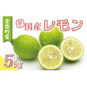 ふるさと納税 愛南町 訳あり レモン 5kg 国産 檸檬 れもん 柑橘 数量限定 特産品 くらもとフ...