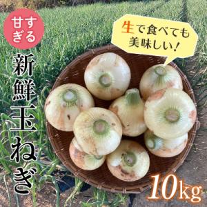 ふるさと納税 富岡市 <2027年発送 先行予約>甘すぎる新鮮玉ねぎ 10kg F21E-111