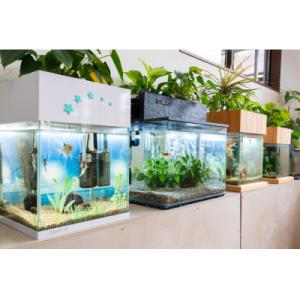 ふるさと納税 東広島市 せせらぎビオトープ 6...の詳細画像2