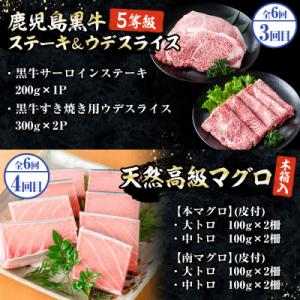 ふるさと納税 いちき串木野市 <6ヶ月定...の詳細画像2