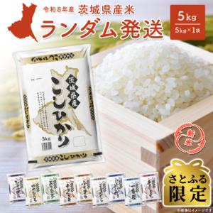 ランダム 5kg 〈令和8年6月内発送〉【令和7年産/白米】 米 精米 小分け  茨城県産