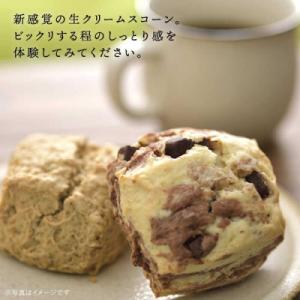 ふるさと納税 糸島市 【全12回定期便】定番ス...の詳細画像2