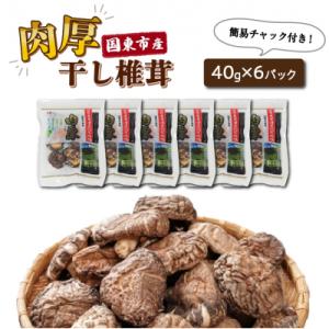 国東産の肉厚干し椎茸(冬菇 どんこ)40g×6袋(チャック付き)_29058A