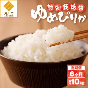 ふるさと納税 滝川市 《令和7年産》特別栽培米ゆめぴりか 10kg×6ヵ月定期便 特A 減農薬 白米...