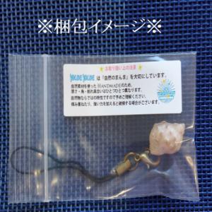 ふるさと納税 土佐清水市 おまかせ 貝殻のスト...の詳細画像2