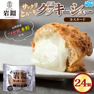岩淵のクッキーシュー[カスタード]  24個  シュークリーム 冷凍配送 FZ26-758