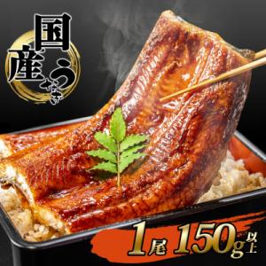 2026年06月発送 国産うなぎ 蒲焼き【1尾 150g以上】 4度焼きあげ 簡易包装 タレ山椒付き