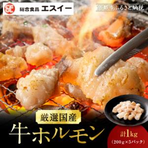 ふるさと納税 京都市 【エスイー】厳選国産牛ホルモン200g×5パック 計1kg